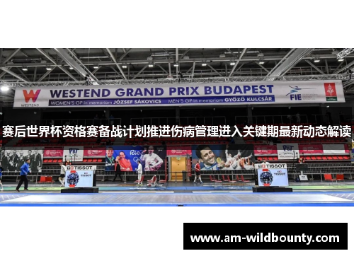 赛后世界杯资格赛备战计划推进伤病管理进入关键期最新动态解读