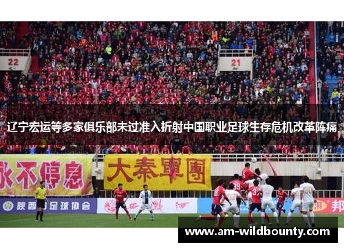 辽宁宏运等多家俱乐部未过准入折射中国职业足球生存危机改革阵痛 辽宁宏运等多家俱乐部未过准入折射中国职业足球生存危机改革阵痛