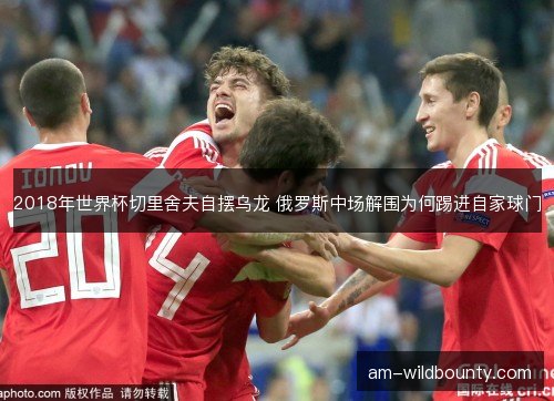 2018年世界杯切里舍夫自摆乌龙 俄罗斯中场解围为何踢进自家球门